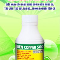 BEN COPPER 500