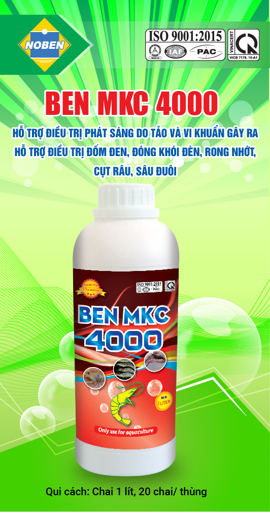 BEN MKC 4000