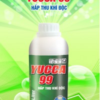 YUCCA 99