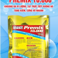 PREMIX 10000