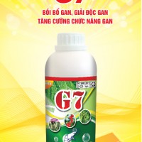 G7 - PHÒNG VÀ TRỊ BỆNH GAN, CHẾT SỚM.